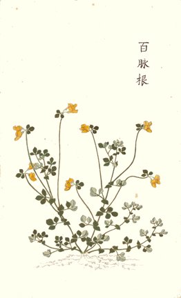 photo25.jpg