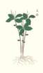 photo32_small.jpg