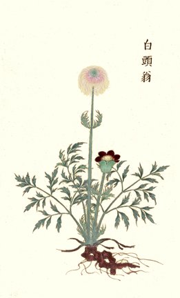 photo34.jpg