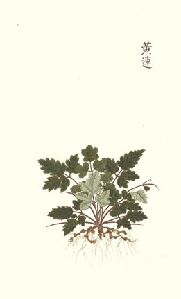 photo39.jpg