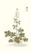 photo44_small.jpg