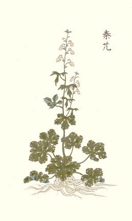 photo45.jpg