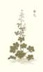 photo45_small.jpg