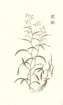 photo46_small.jpg