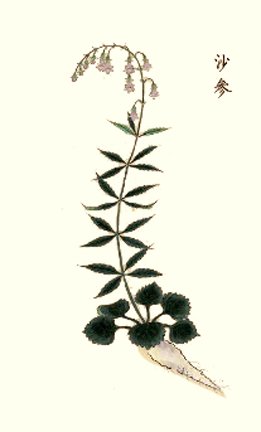 photo7.jpg