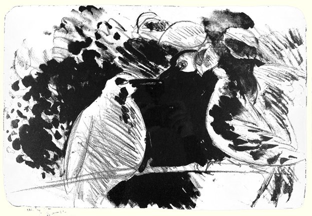 photo27.jpg