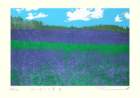 photo15_small.jpg