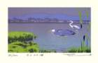 photo35_small.jpg