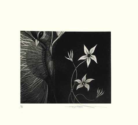 photo27.jpg