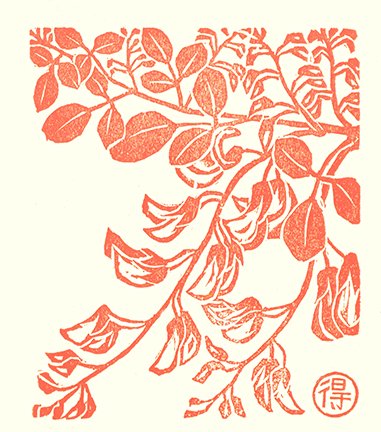 photo27.jpg