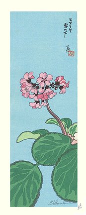 photo120.jpg