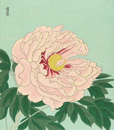 photo30.jpg