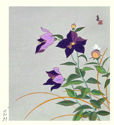 photo31.jpg