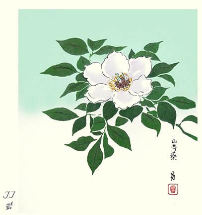 photo36.jpg