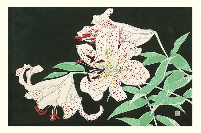 photo46.jpg