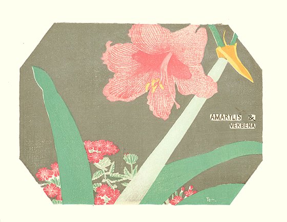 photo50.jpg