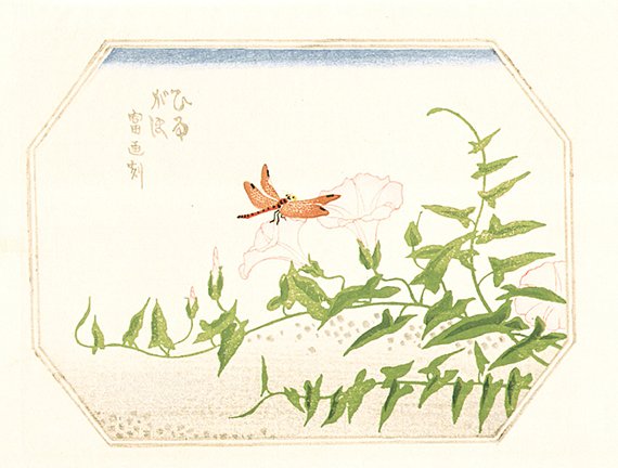 photo55.jpg
