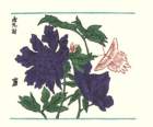 photo70_small.jpg