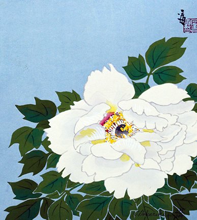 photo97.jpg
