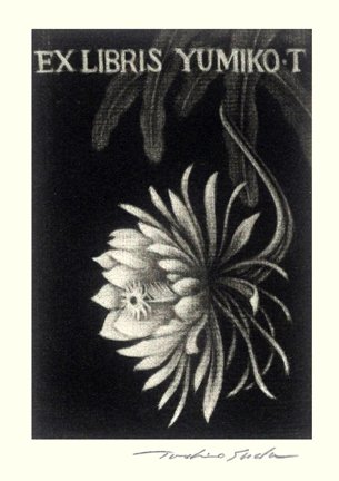 photo28.jpg