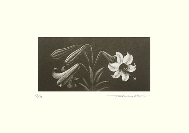 photo5.jpg