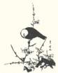 photo18_small.jpg