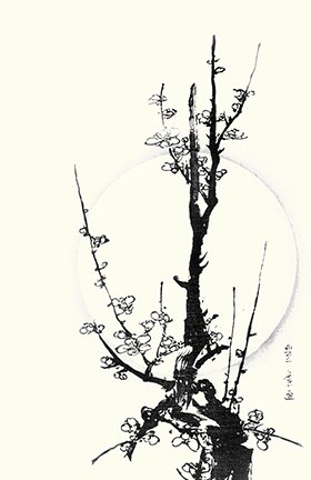 photo19.jpg