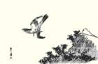 photo21_small.jpg