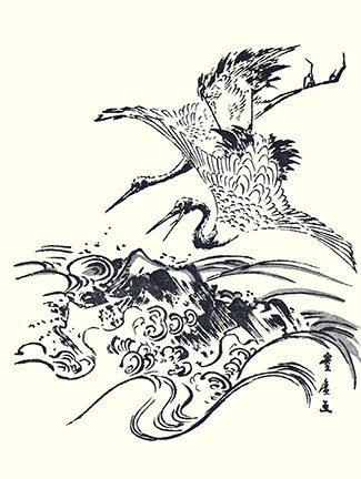 photo3.jpg