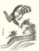 photo4_small.jpg