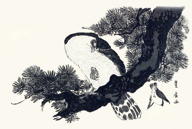 photo8.jpg