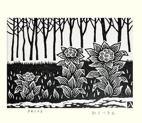 photo23.jpg