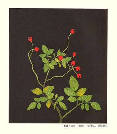 photo33.jpg