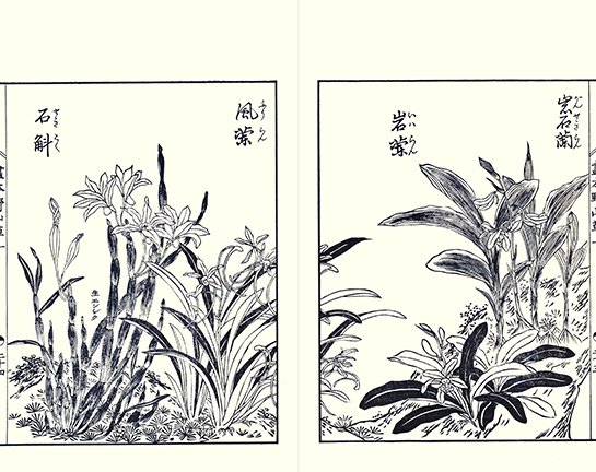photo18.jpg