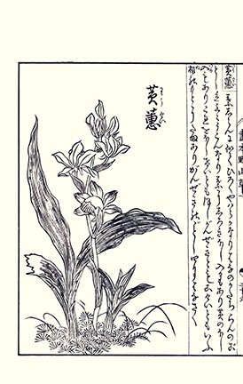 photo20.jpg