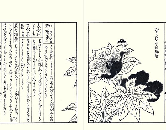 photo25.jpg