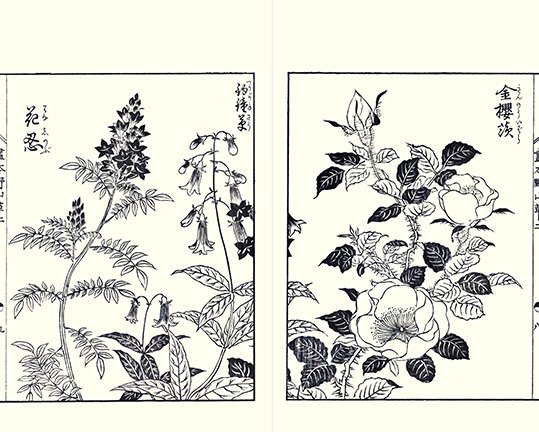 photo27.jpg
