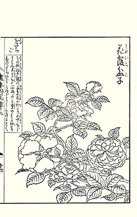 photo30.jpg