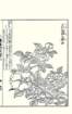 photo30_small.jpg