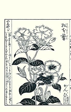 photo32.jpg