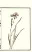 photo10_small.jpg