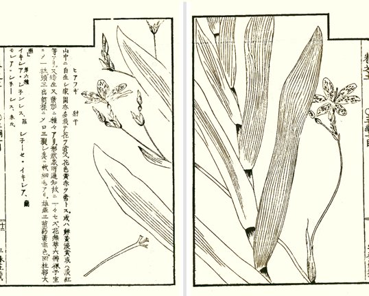 photo11.jpg