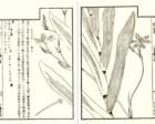 photo11_small.jpg