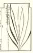photo13_small.jpg