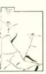 photo14_small.jpg