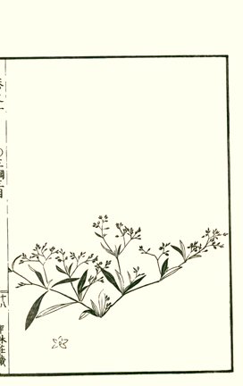 photo17.jpg