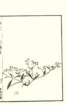 photo17_small.jpg