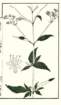 photo20_small.jpg