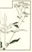 photo21_small.jpg