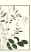 photo23_small.jpg